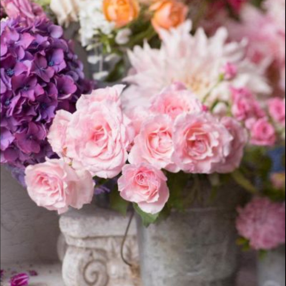 Have a Beautiful Day!